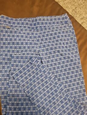 The Limited Blue Geometric Print Pants